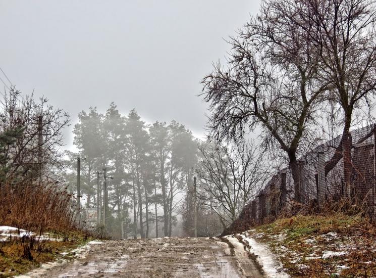 Підрясне з panoramio.com - Підрясне