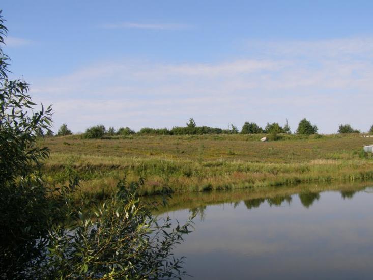 Половинчик з panoramio.com - Половинчик