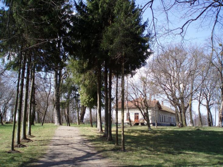 Руда з panoramio.com - Руда