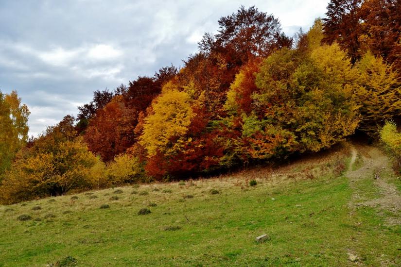 Росішка з panoramio.com - Rosishka