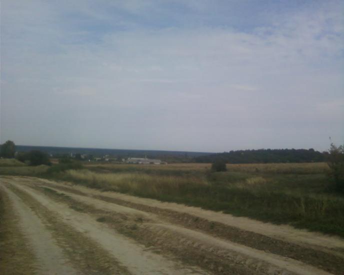 Синява з panoramio.com - Synyava