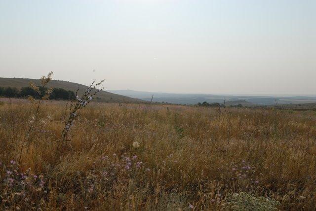 Артемівка з panoramio.com - Артемовка