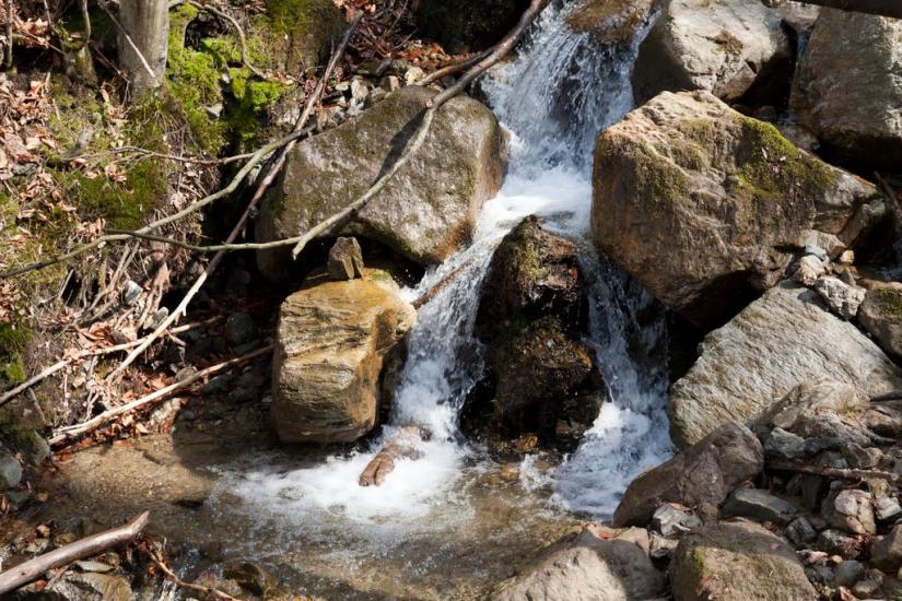 Косівська Поляна з panoramio.com - Косівська Поляна