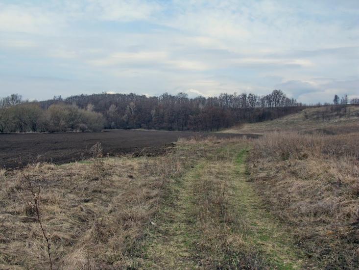 Тимошівка з panoramio.com - Тимошівка