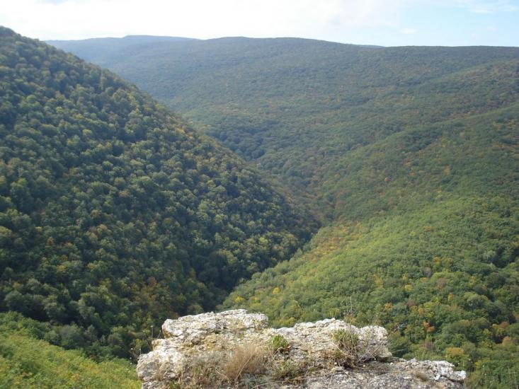 Овражки з panoramio.com - Овражки