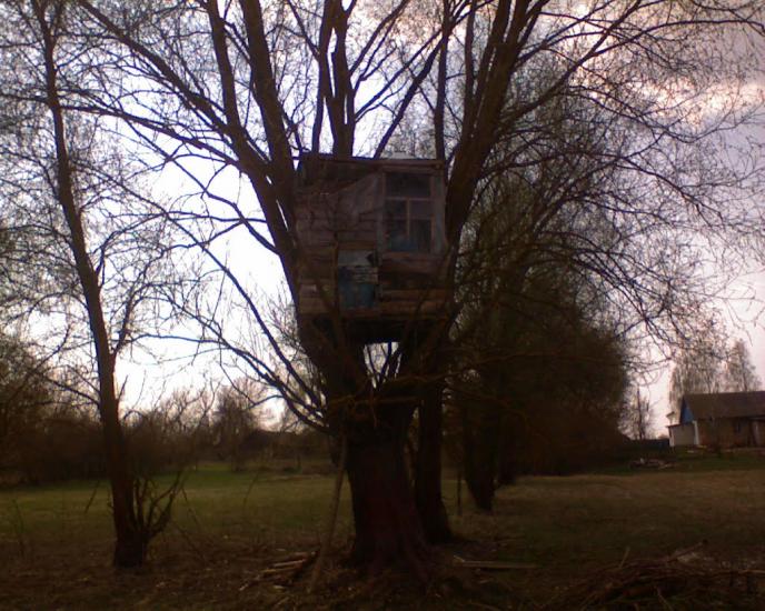 Надинівка з panoramio.com - Надинівка