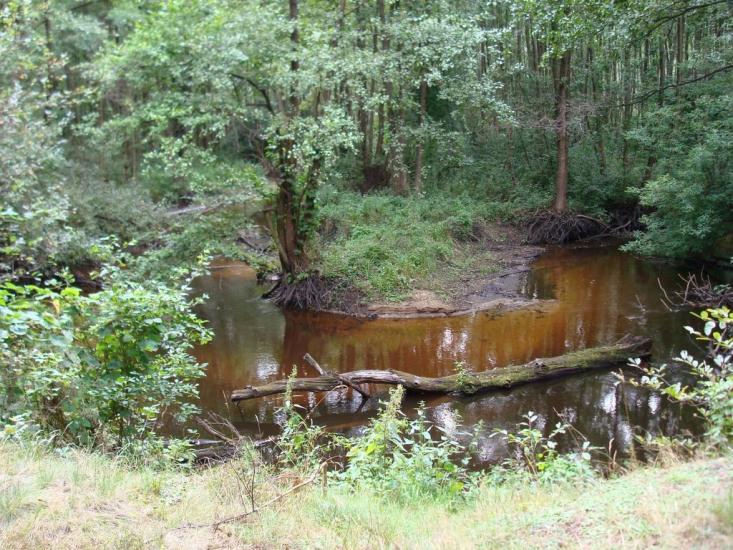 Хрипськ з panoramio.com - Хрипск