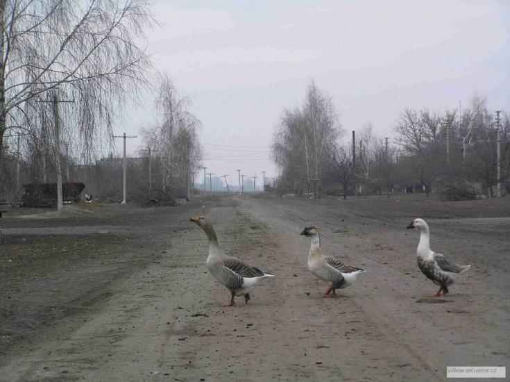 Войнівка з panoramio.com - Войнівка