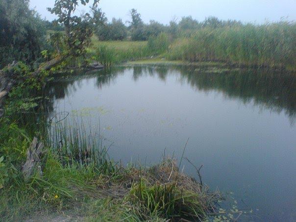 Дар'ївка з panoramio.com - Дар'ївка