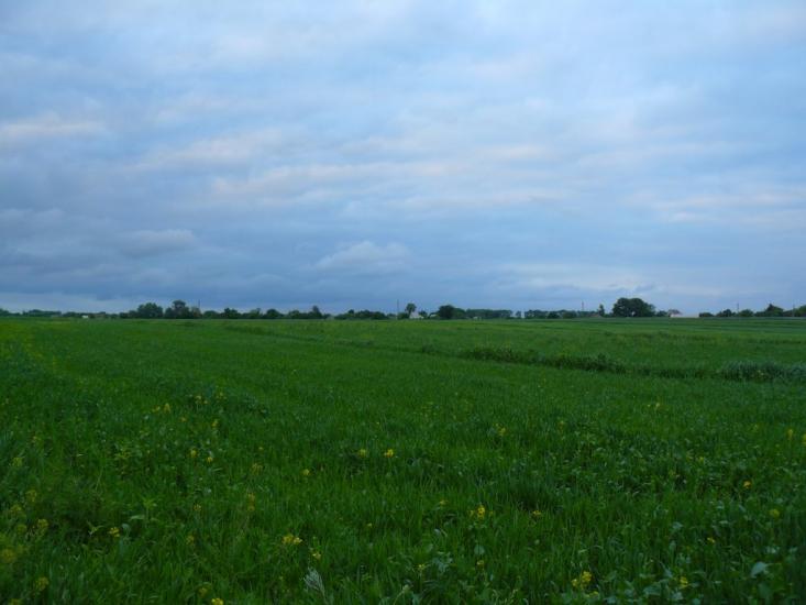 Лосятин з panoramio.com - Лосятин