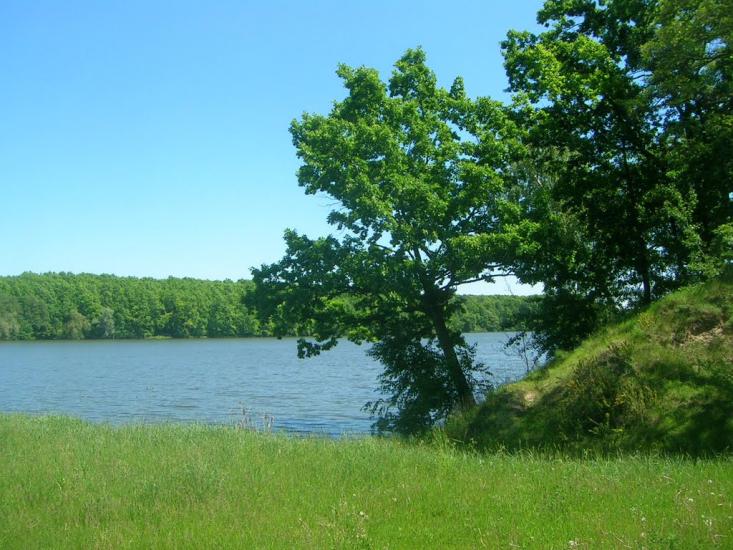 Чернин з panoramio.com - Чернин