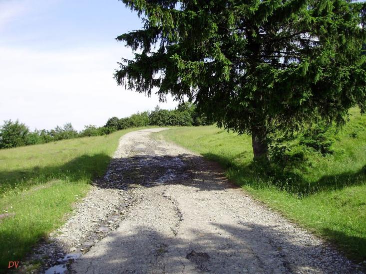 Косівська Поляна з panoramio.com - Косівська Поляна