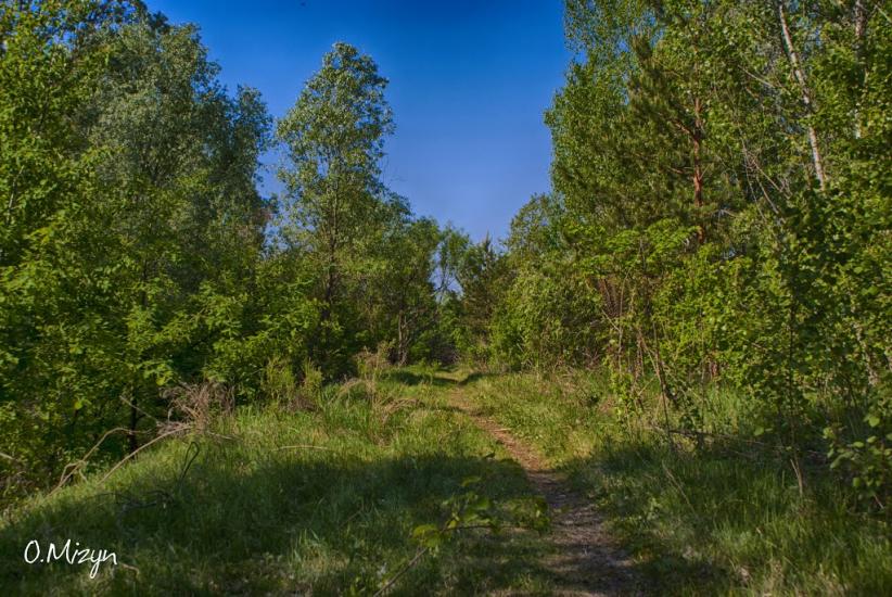 Любеч з panoramio.com - Lyubech