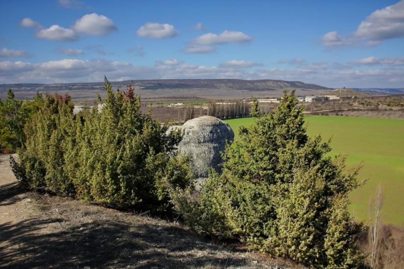 Красний Мак з panoramio.com - Красный Мак