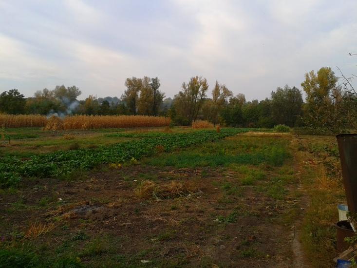 Устя з panoramio.com - Устя