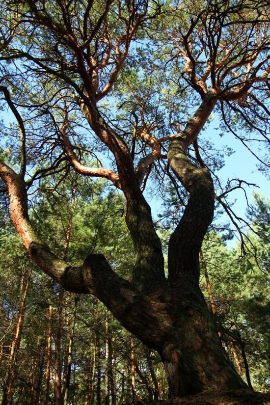 Островки з panoramio.com - Островки