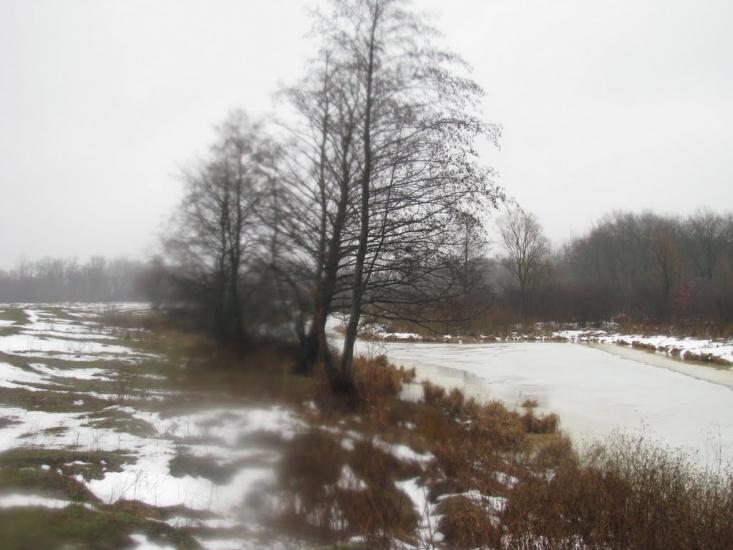 Миси з panoramio.com - Mysy