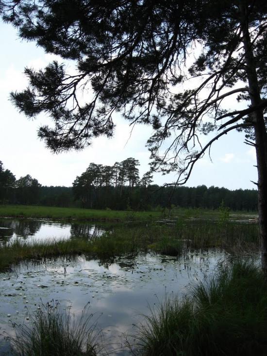 Варварівка з panoramio.com - Варварівка