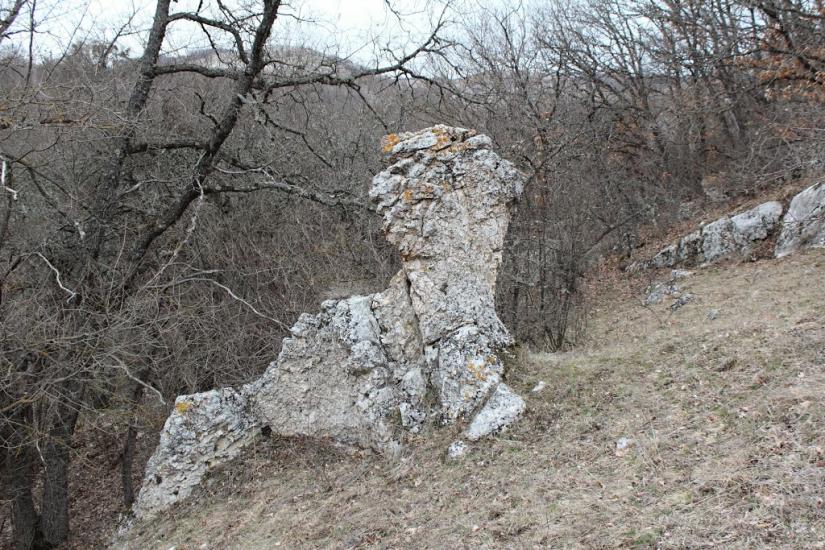 Пчолине з panoramio.com - Pcholyne