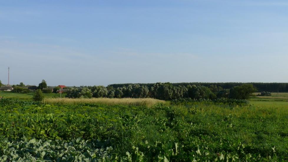 Здвижівка з panoramio.com - Zdvyzhivka