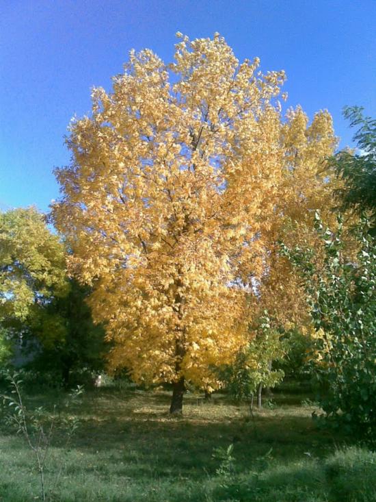 Станіславка з panoramio.com - Станіславка