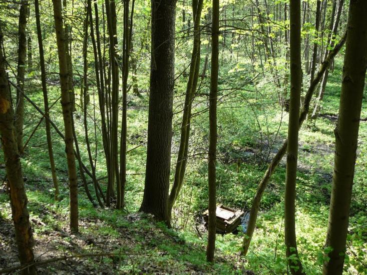Кам'янка з panoramio.com - Каменка