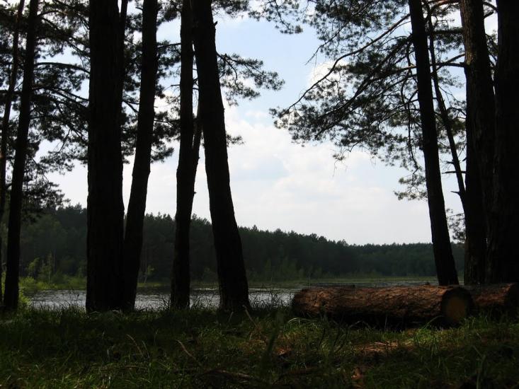 Варварівка з panoramio.com - Варварівка