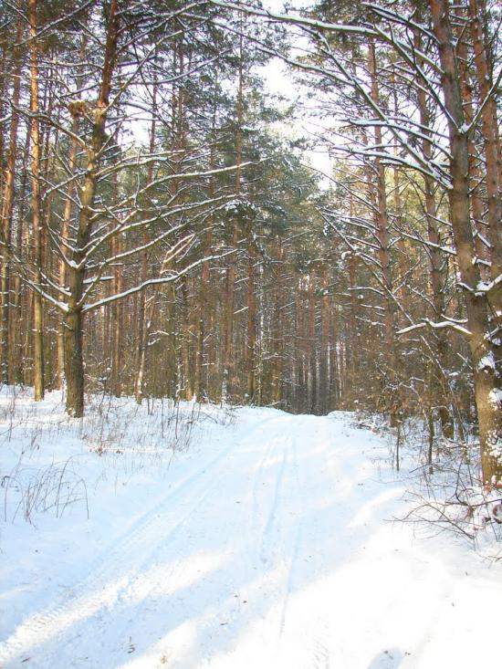 Мохначі з panoramio.com - Мохначі