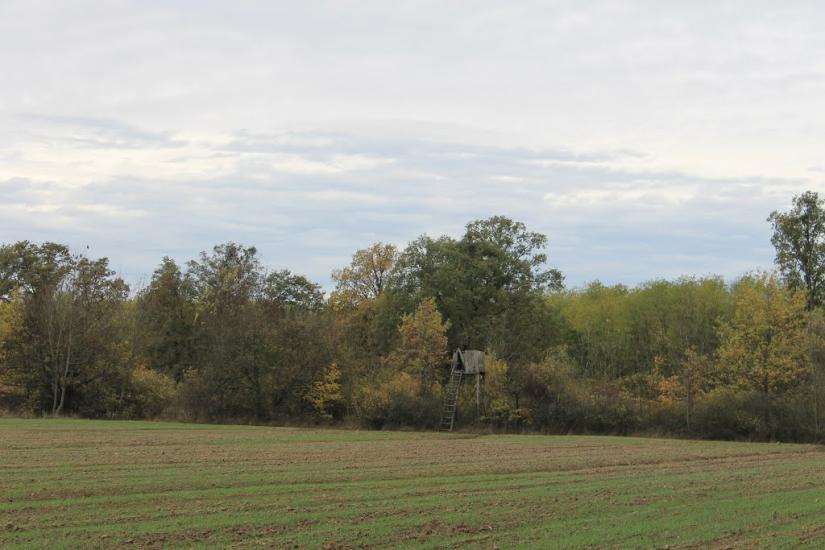 Тисобикень з panoramio.com - Тисобикень