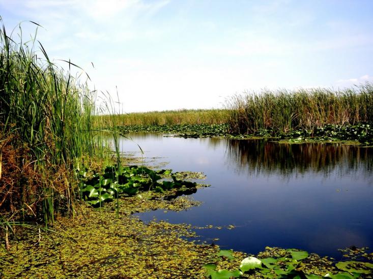 Рені з panoramio.com - Reni