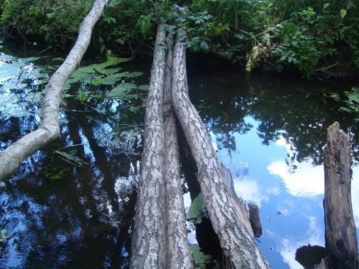 Брідок з panoramio.com - Брідок