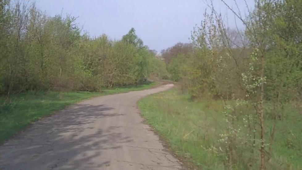 Олексіївка з panoramio.com - Алексеевка