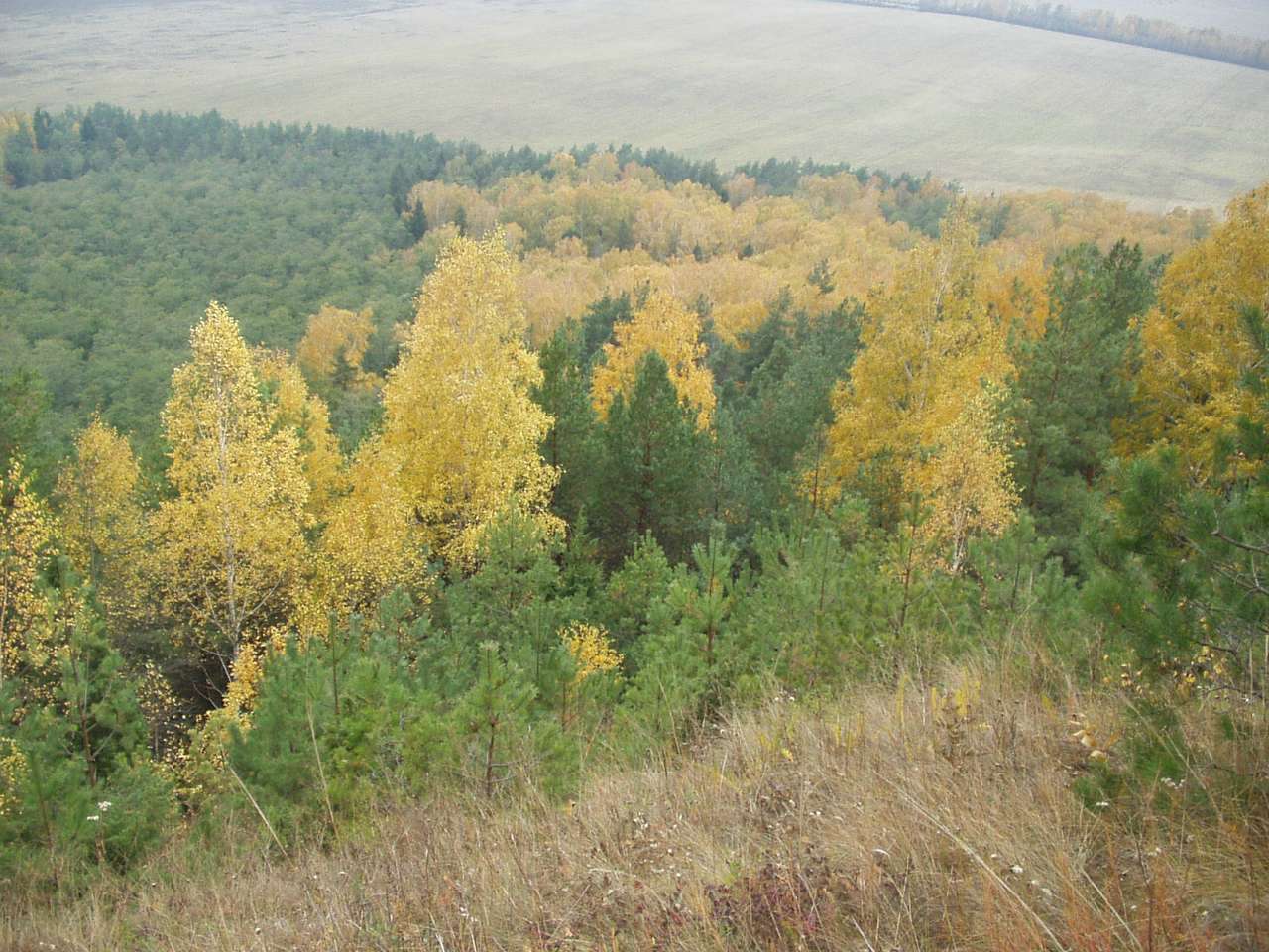 кременець - Кременець