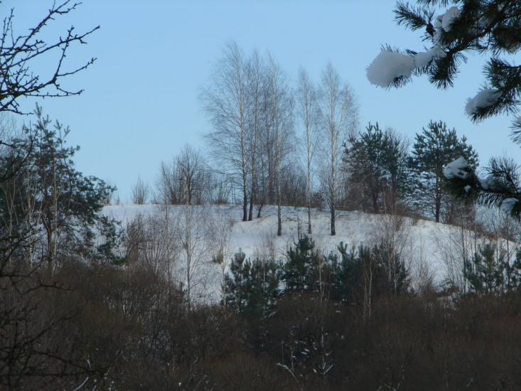 Мохначі з panoramio.com - Мохначі