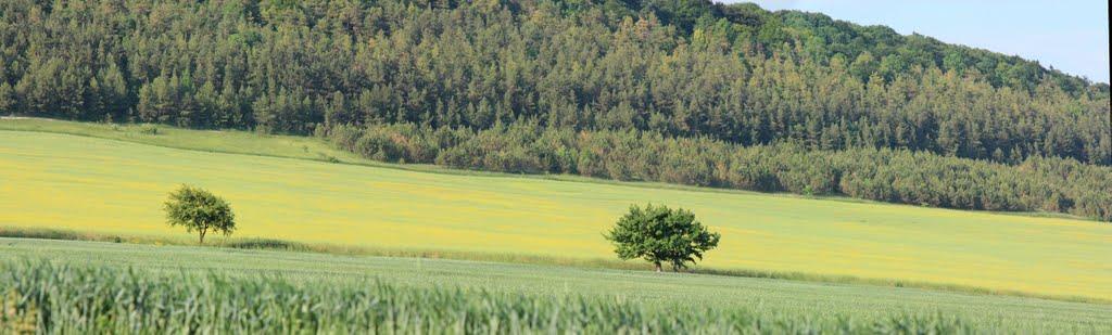 Почапи з panoramio.com - Почапи