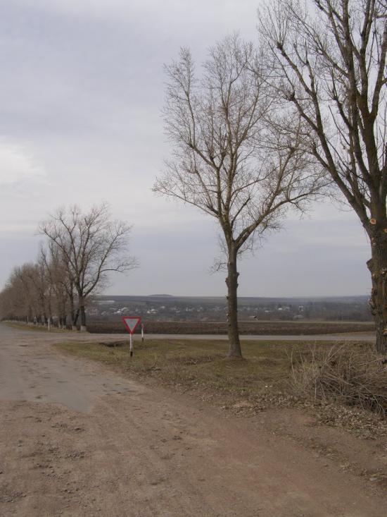 Пологи з panoramio.com - Пологи
