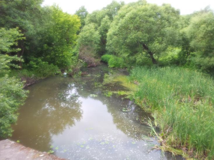 Кримок з panoramio.com - Крымок