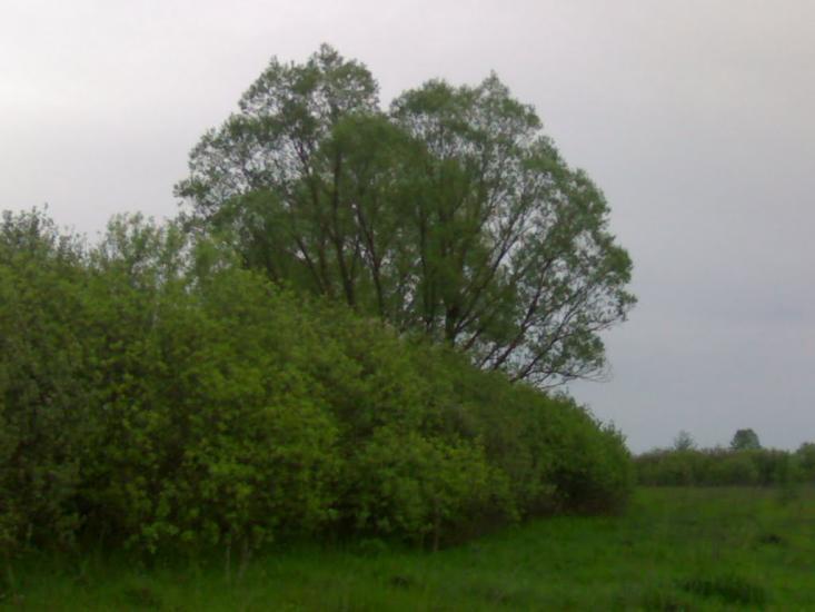 Літочки з panoramio.com - Літочки