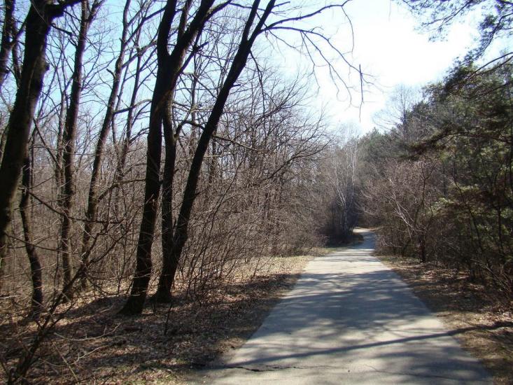 Лиман з panoramio.com - Лиман