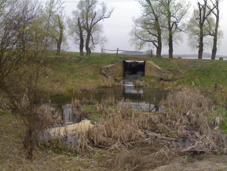 Любимівка з panoramio.com - Любимівка