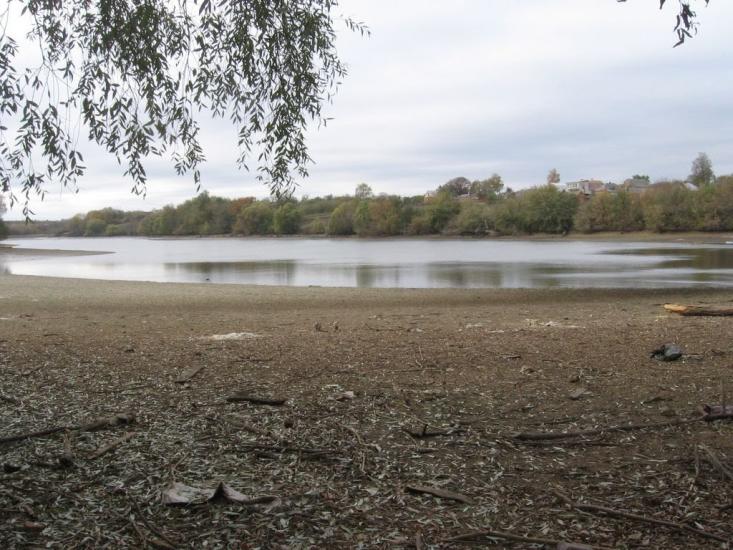 Підліснівка з panoramio.com - Подлесновка