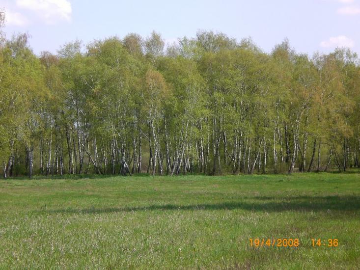 Гельмязів з panoramio.com - Gelmyaziv