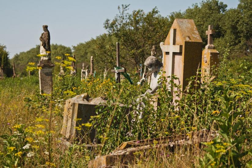 Варваринці з panoramio.com - Varvaryntsi