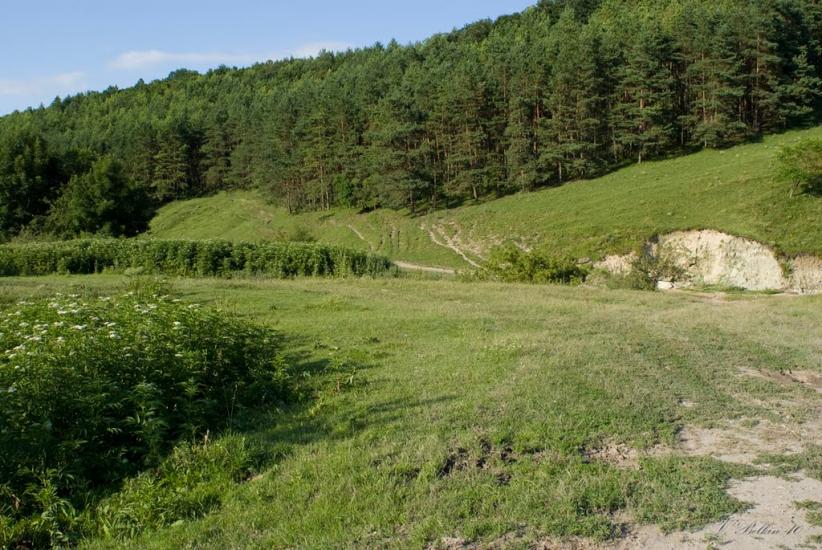 Голозубинці з panoramio.com - Голозубинцы