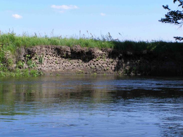 Гайдари з panoramio.com - Гайдары