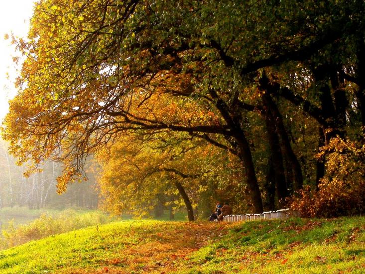 Зелений Гай з panoramio.com - Зелений Гай