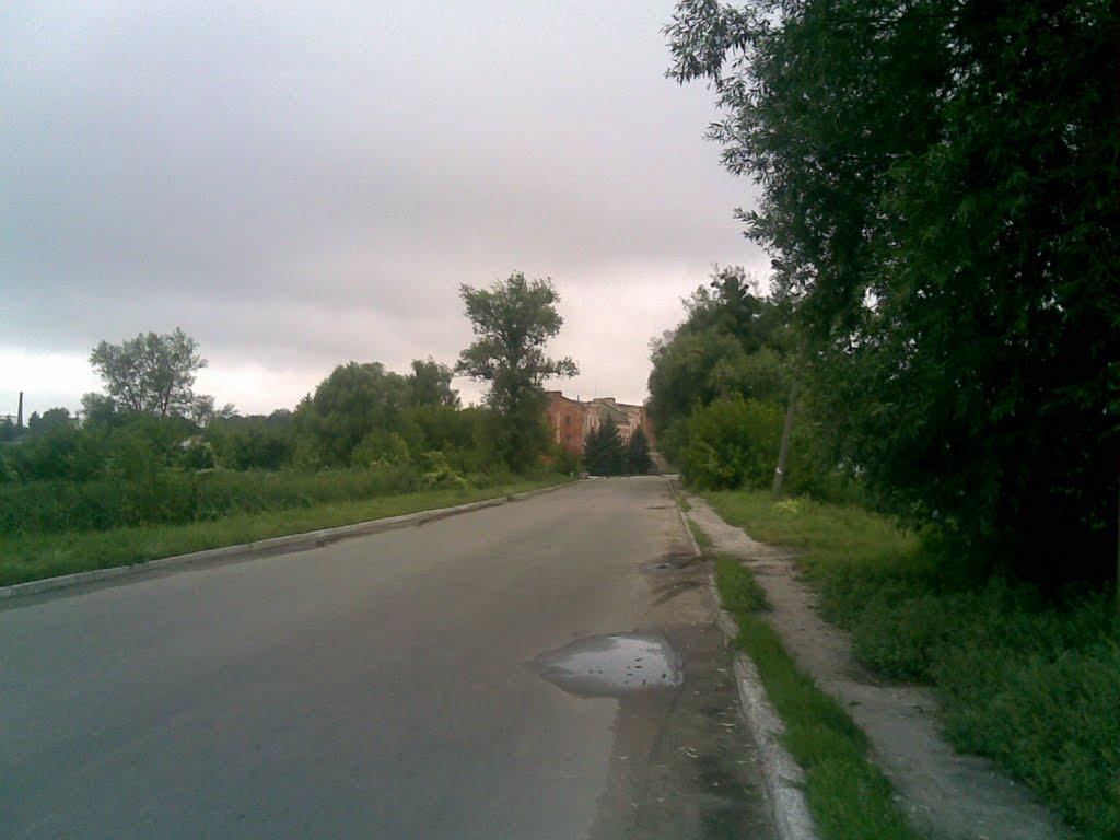Тараща з panoramio.com - Тараща