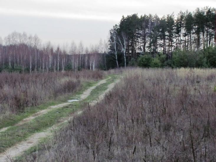 Городня з panoramio.com - Городня
