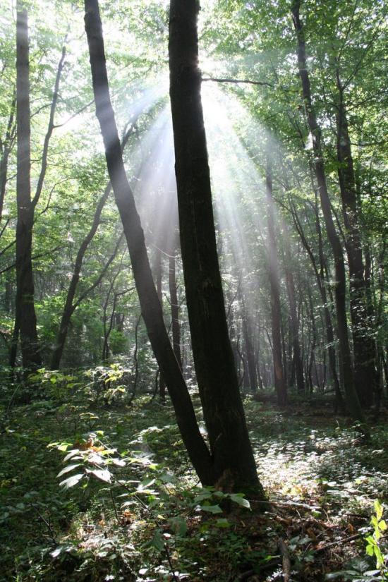 Старе Село з panoramio.com - Старое Село