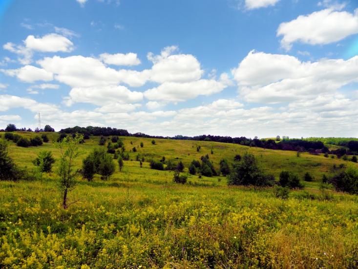Опішня з panoramio.com - Опошня